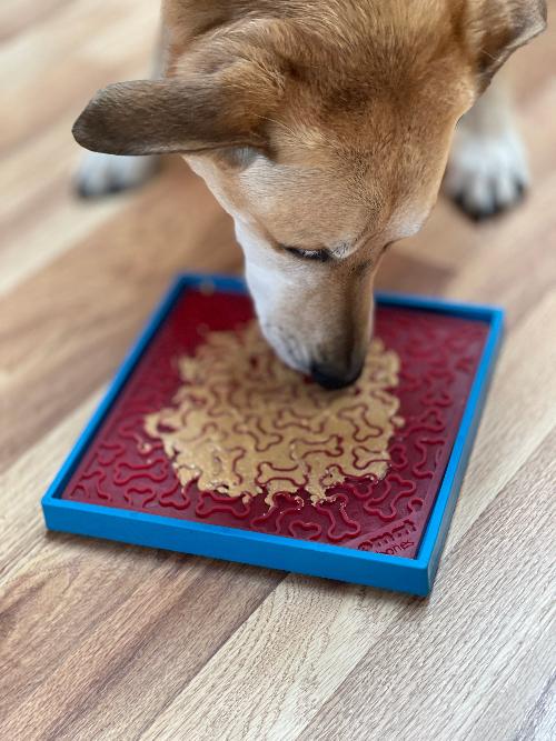 Hold 'em Suction Cup Holder for Dog Bowls & Lick Mats | USA Made - American Bark Bliss