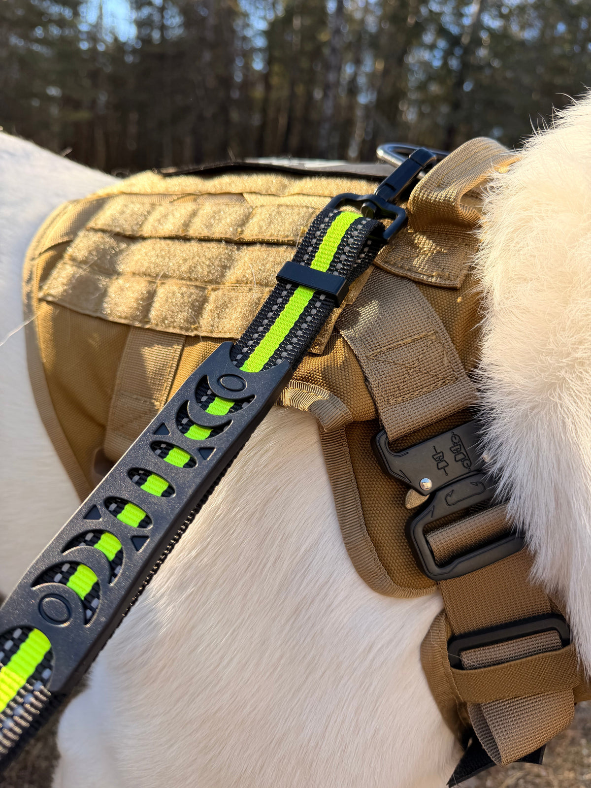 Hands-Free Running/Hiking Bungee Leash
