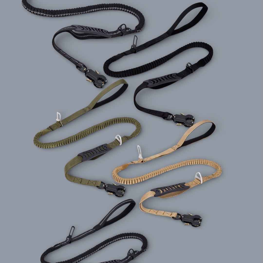 Quick-Release Frog Clip Bungee Leash - (Absorbs Pulls)