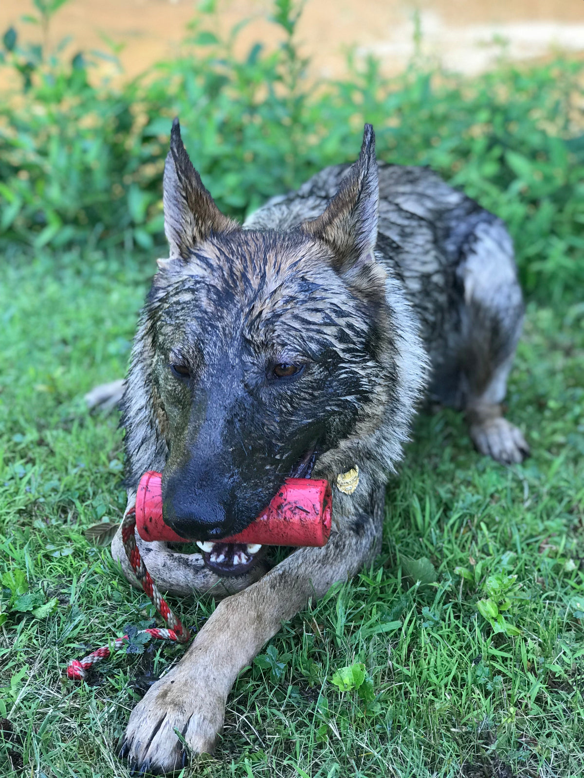 USA-K9 Firecracker Durable Rubber Floating Training Dummy - Large - Red - American Bark Bliss