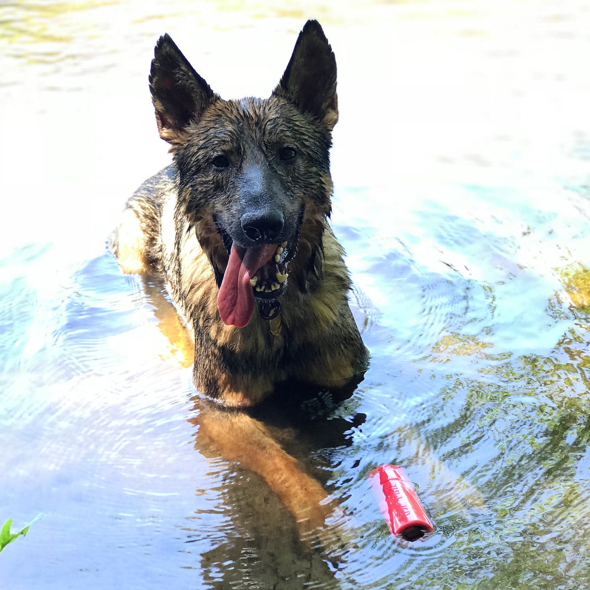 USA-K9 Firecracker Durable Rubber Floating Training Dummy - Large - Red - American Bark Bliss