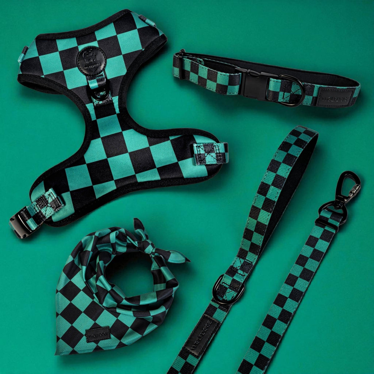 Ichimatsu Checker Collar