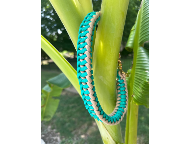 Infinity Braid in Teal & Light Tan - Handmade Dog Collar - American Bark Bliss