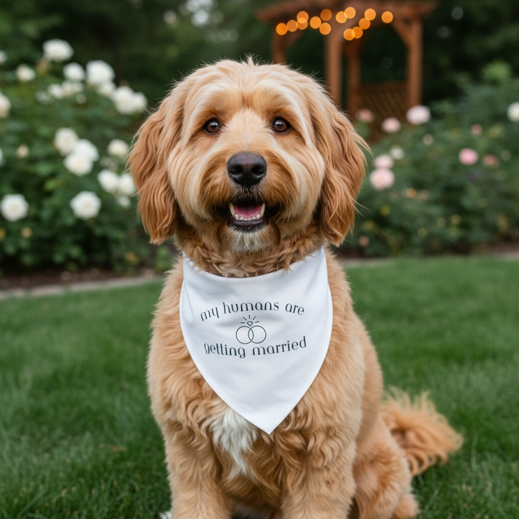 Wedding Dog Bandana for Marriage Celebrations - American Bark Bliss