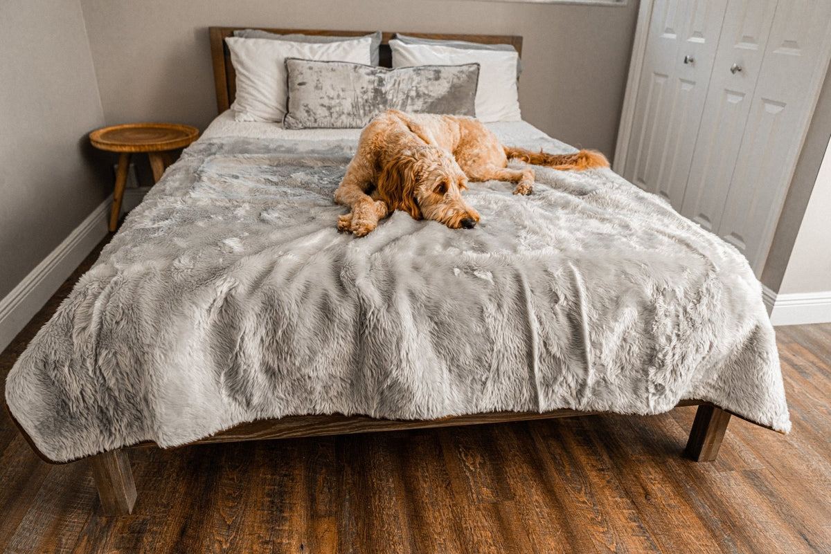Short Fur Waterproof Throw Blanket for Pets - American Bark Bliss