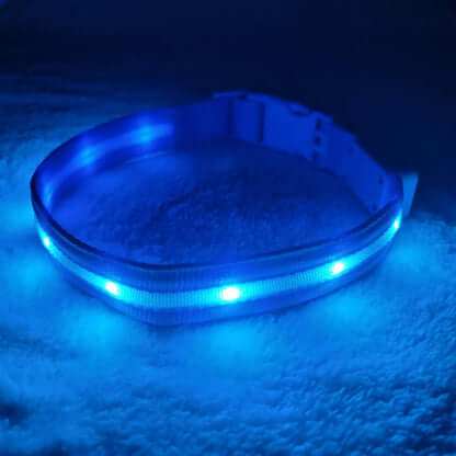 6x Bright Light Safety Collars