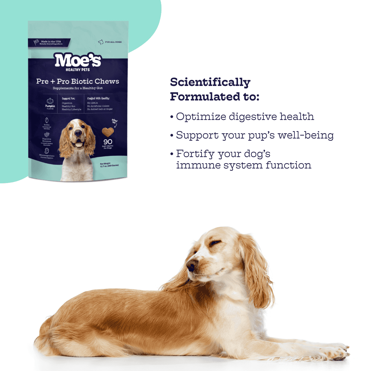 Dog Digestive Health Chews with Prebiotics & Probiotics - American Bark Bliss