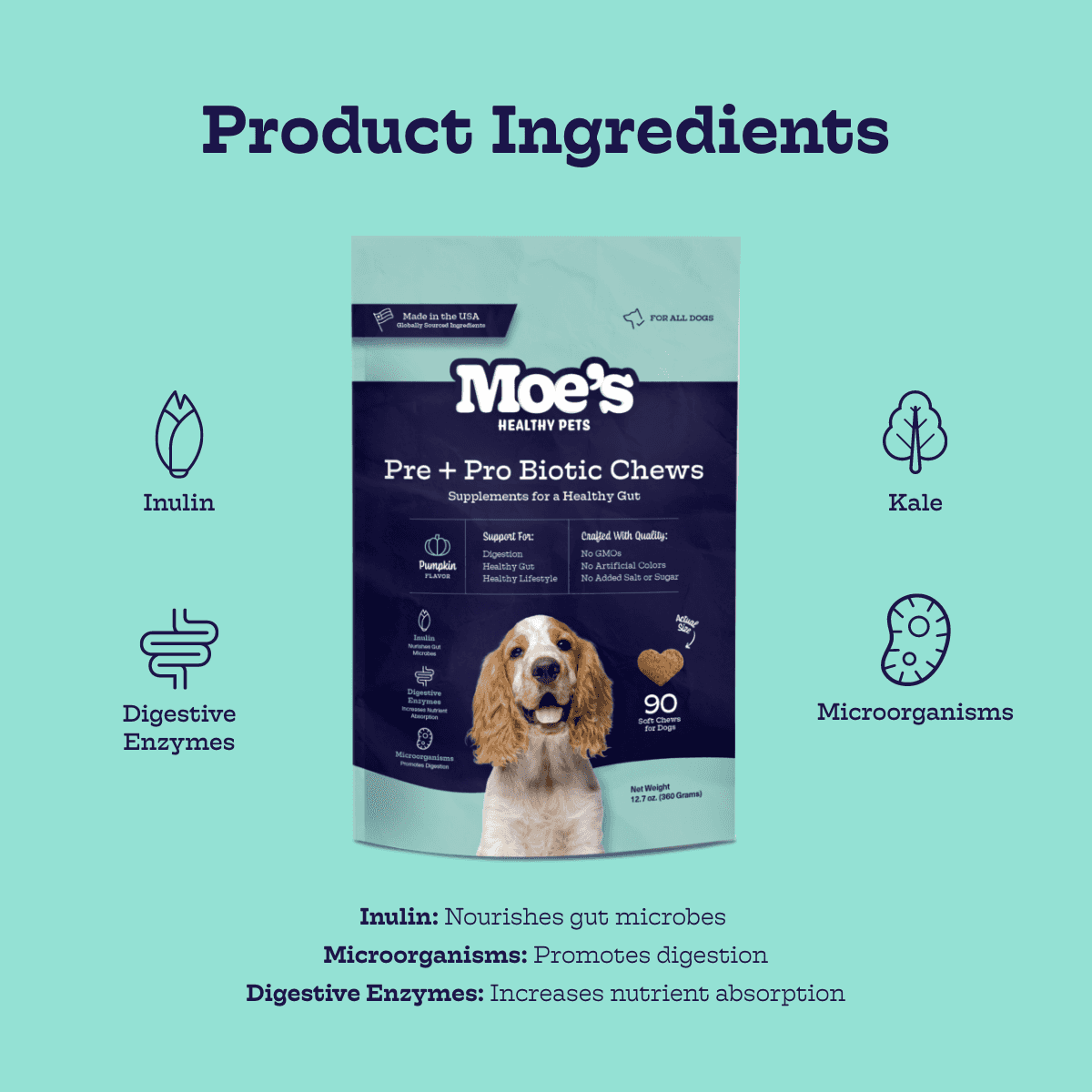 Dog Digestive Health Chews with Prebiotics & Probiotics - American Bark Bliss