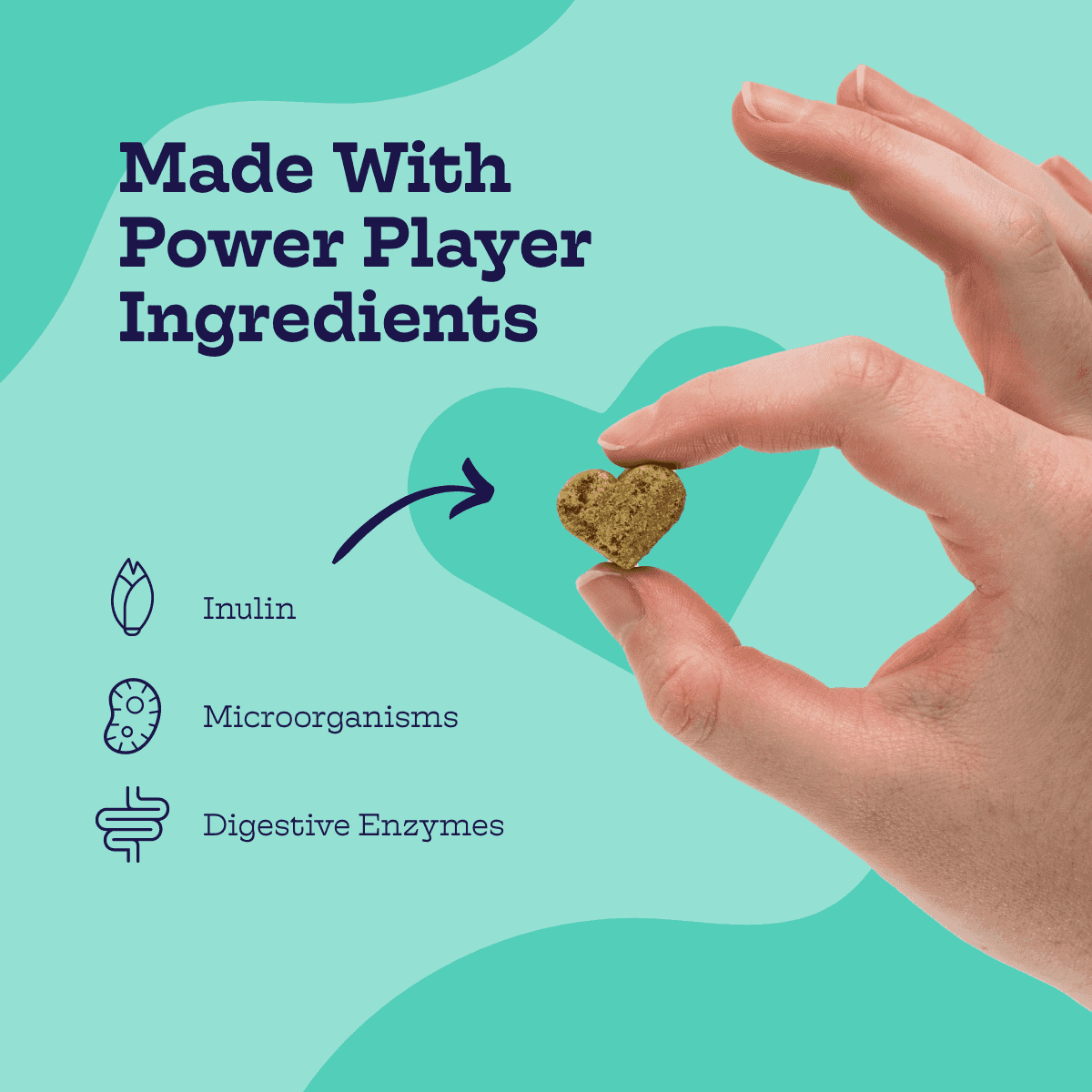 Dog Digestive Health Chews with Prebiotics & Probiotics - American Bark Bliss