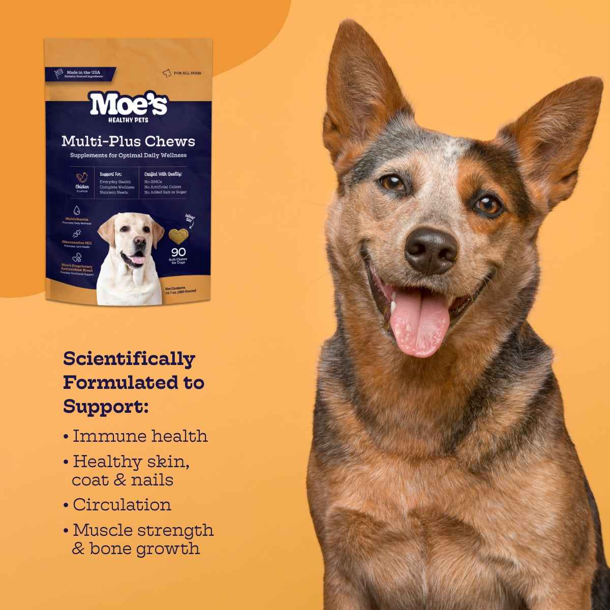 Dog Multivitamin Chews with Omega & Glucosamine - American Bark Bliss