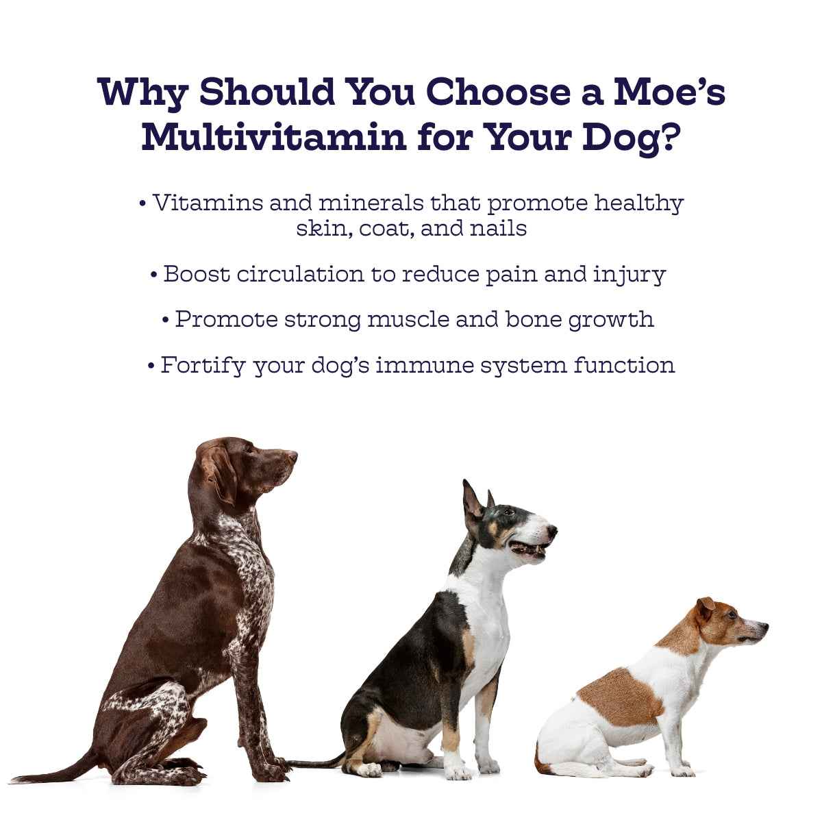 Dog Multivitamin Chews with Omega & Glucosamine - American Bark Bliss