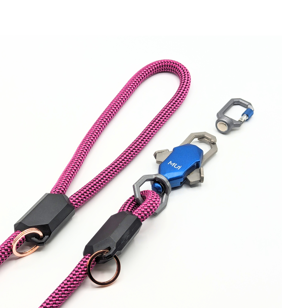 Patented Magnetic Dog Leash - American Bark Bliss
