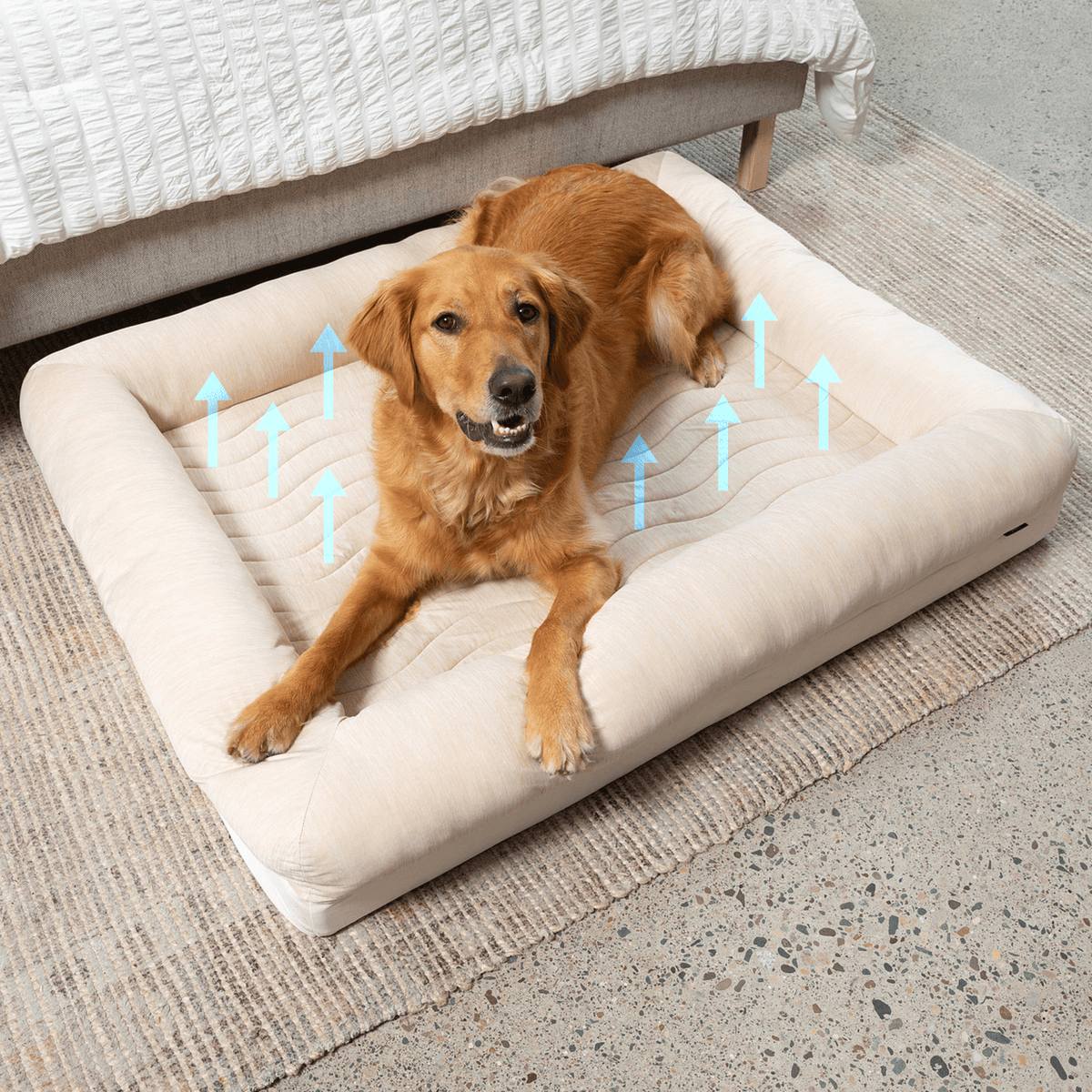 PupChill™ Cooling Dog Bed with 4 Bolsters - American Bark Bliss