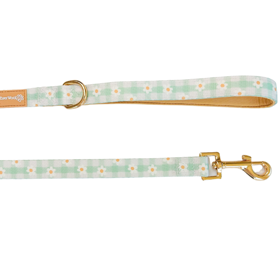 Oopsie Daisy! Leash - American Bark Bliss