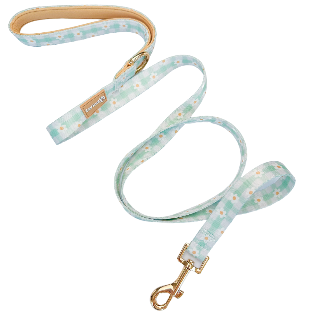 Oopsie Daisy! Leash - American Bark Bliss