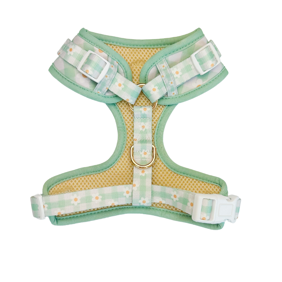 Oopsie Daisy! Adjustable Harness - American Bark Bliss