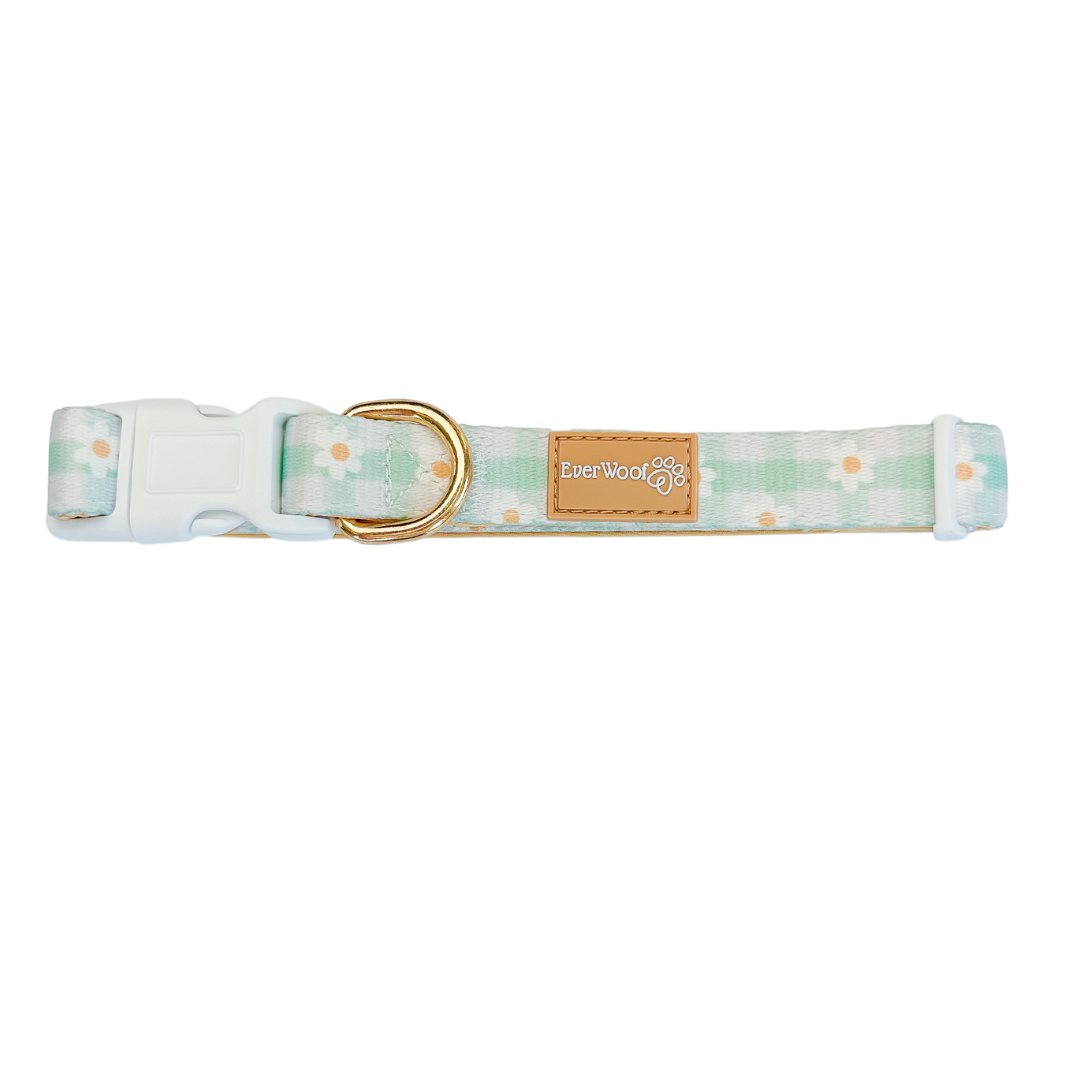 Oopsie Daisy! Collar - American Bark Bliss