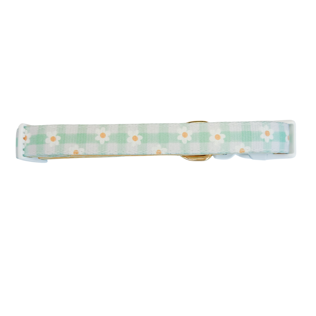 Oopsie Daisy! Collar - American Bark Bliss
