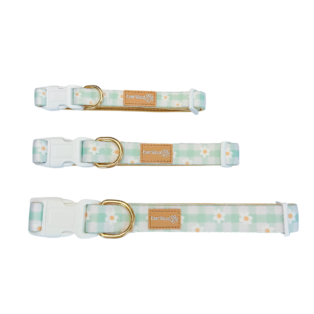 Oopsie Daisy! Collar - American Bark Bliss
