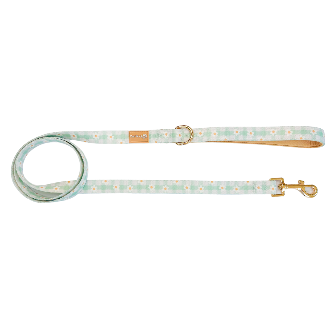 Oopsie Daisy! Leash - American Bark Bliss