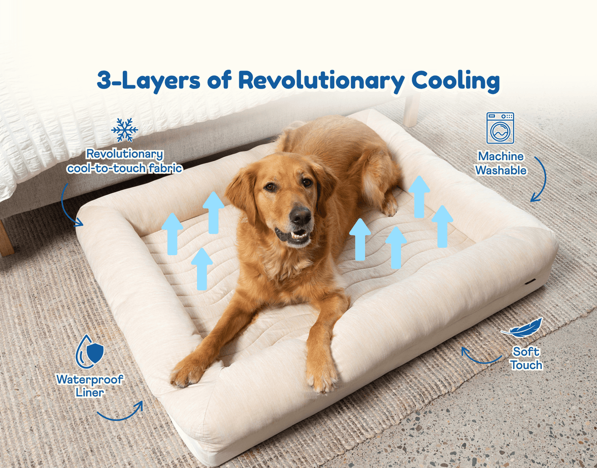 PupChill™ Cooling Dog Bed with 4 Bolsters - American Bark Bliss