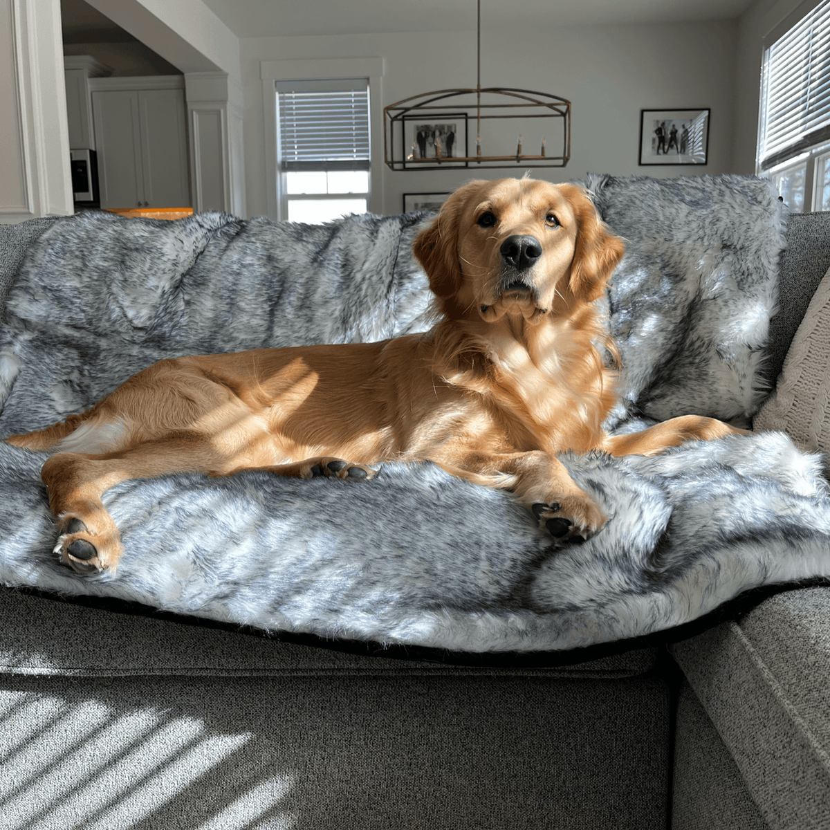 PupProtector™ Waterproof Faux Fur Blanket - American Bark Bliss
