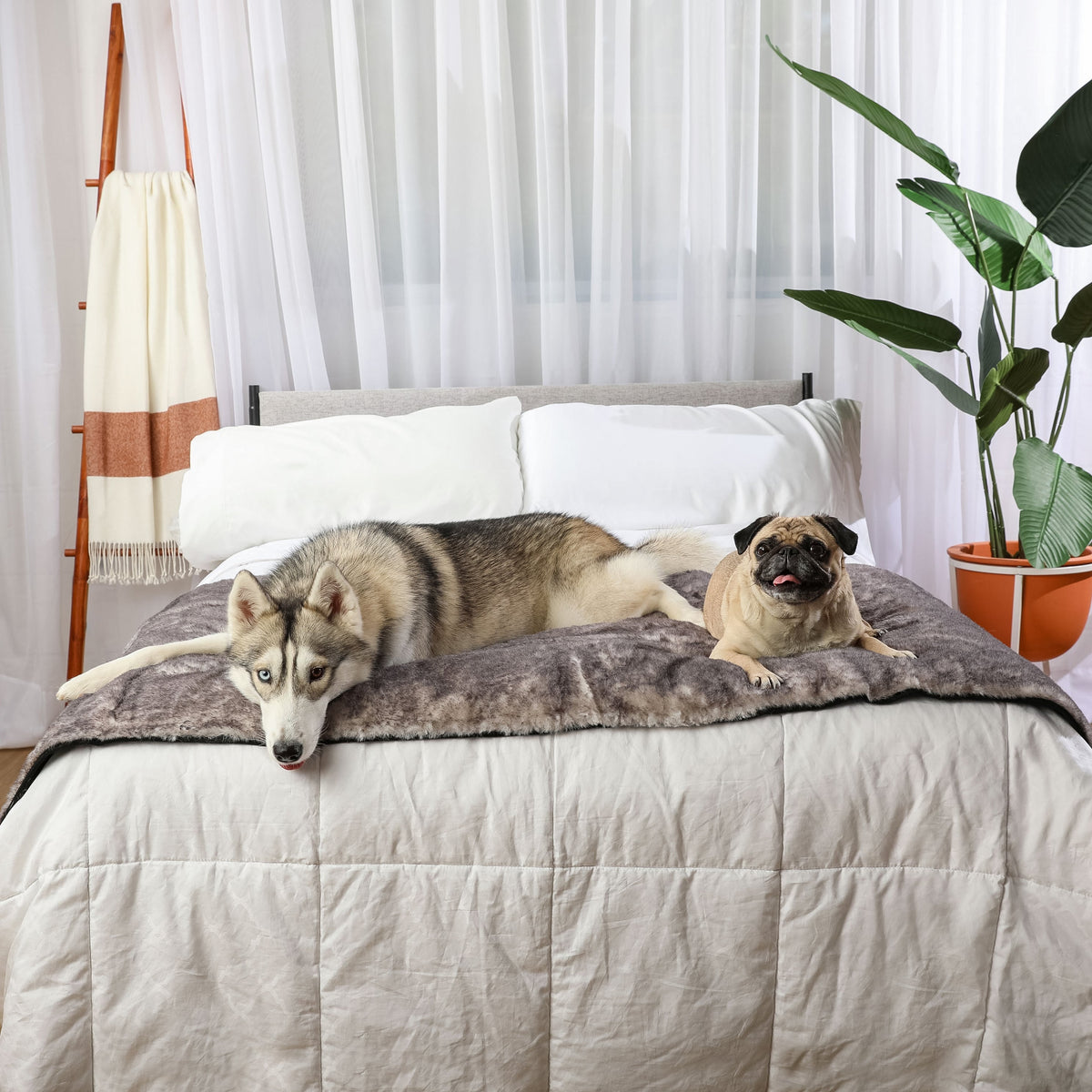 PupProtector™ Luxe Waterproof Dog Bed Runner - Chinchilla - American Bark Bliss