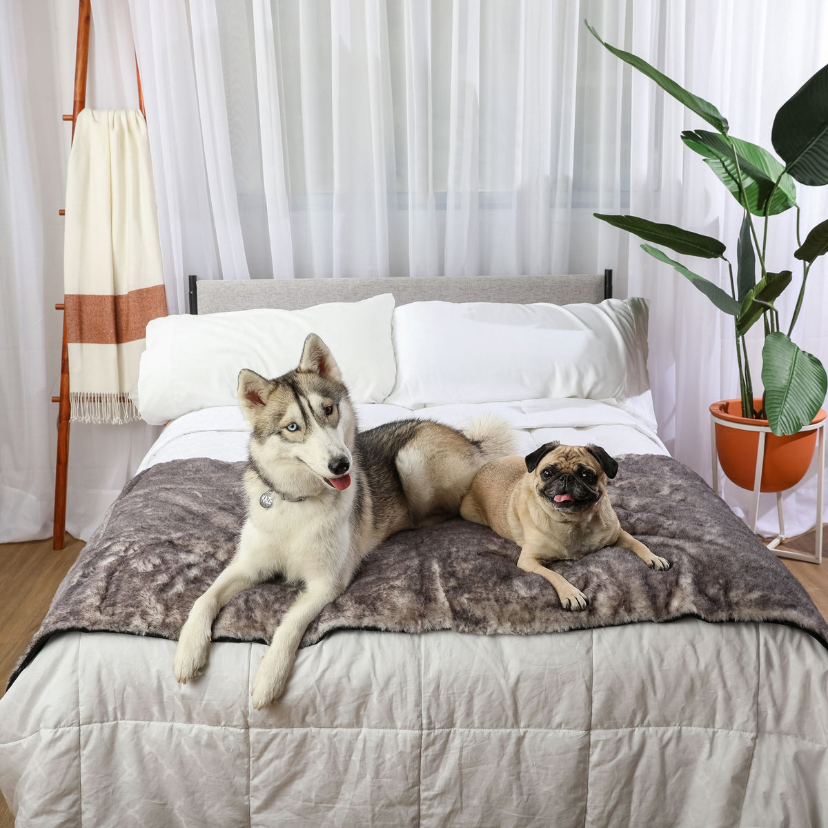 PupProtector™ Luxe Waterproof Dog Bed Runner - Chinchilla - American Bark Bliss