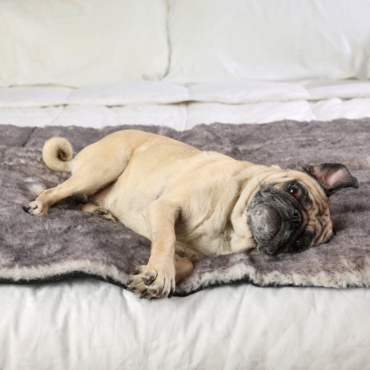 PupProtector™ Luxe Waterproof Dog Bed Runner - Chinchilla - American Bark Bliss