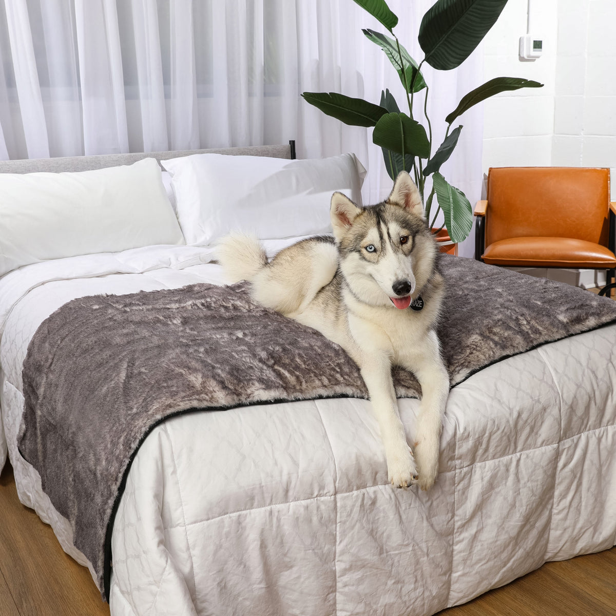 PupProtector™ Luxe Waterproof Dog Bed Runner - Chinchilla - American Bark Bliss
