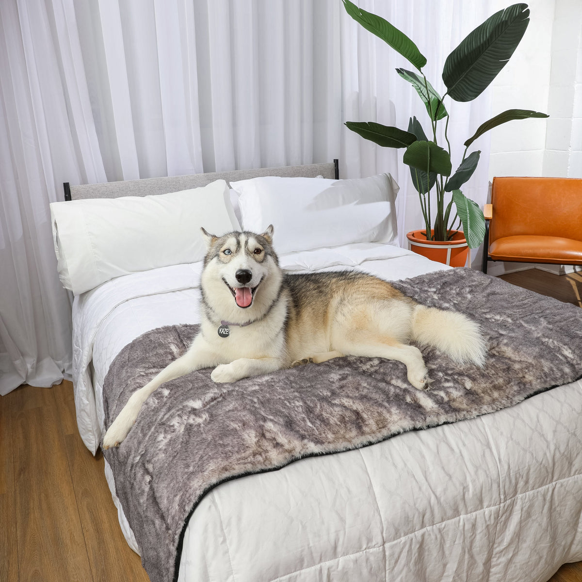 PupProtector™ Luxe Waterproof Dog Bed Runner - Chinchilla - American Bark Bliss