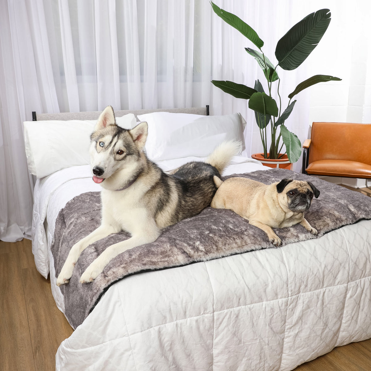 PupProtector™ Luxe Waterproof Dog Bed Runner - Chinchilla - American Bark Bliss
