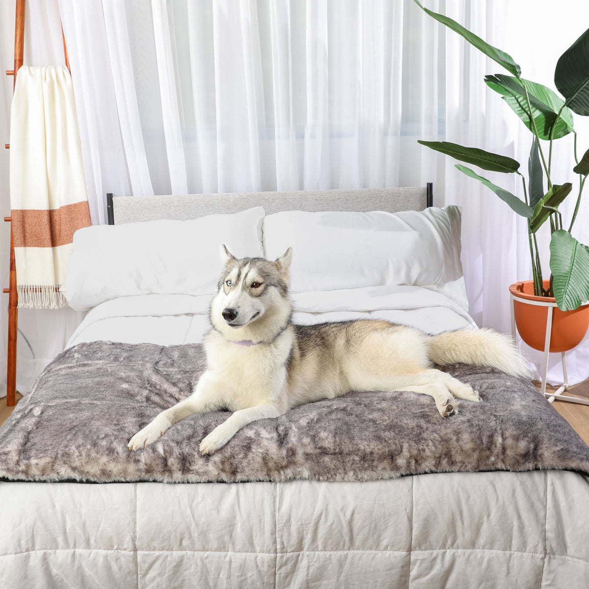 PupProtector™ Luxe Waterproof Dog Bed Runner - Chinchilla - American Bark Bliss