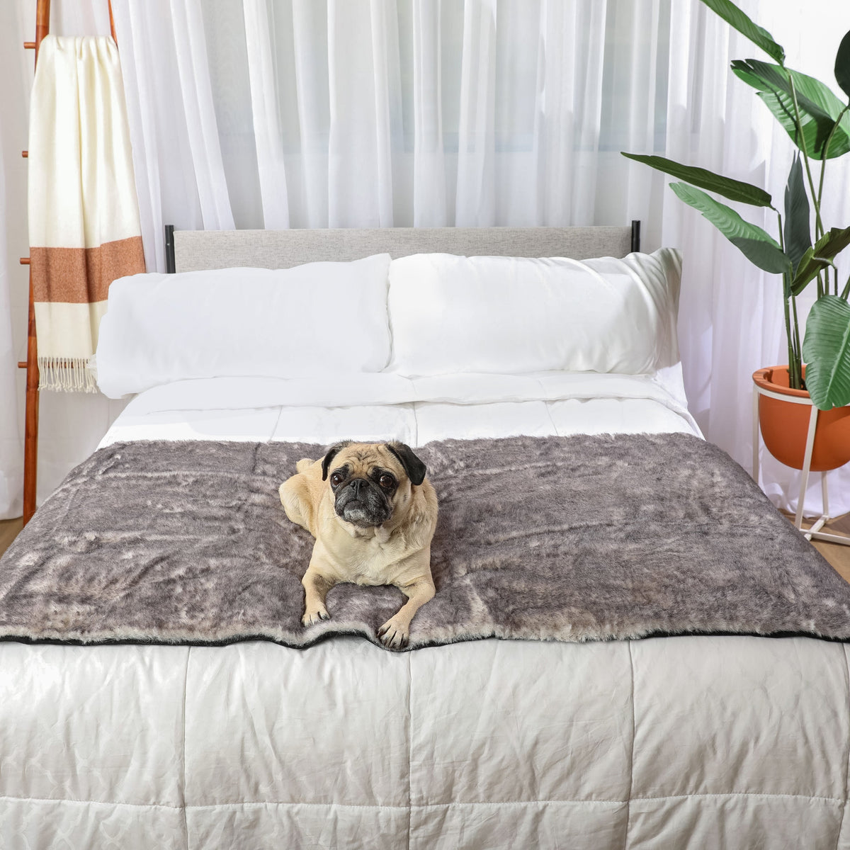 PupProtector™ Luxe Waterproof Dog Bed Runner - Chinchilla - American Bark Bliss