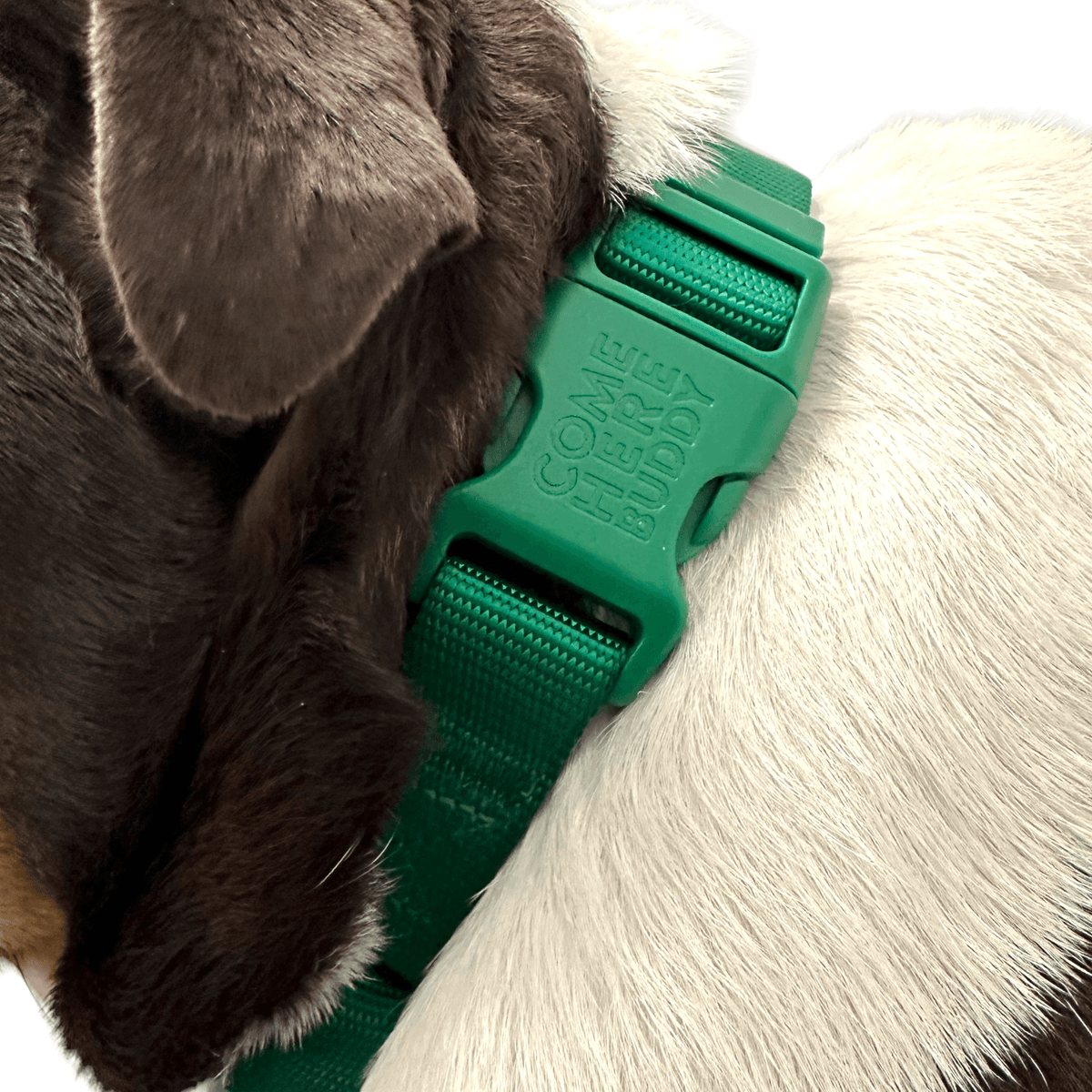 Martingale Dog Collar for Secure and Gentle Control - American Bark Bliss