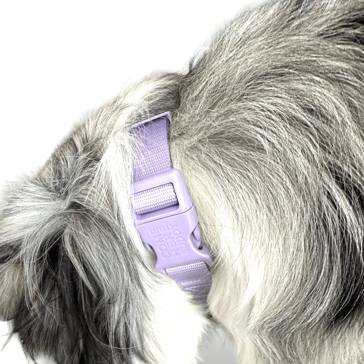 Martingale Dog Collar for Secure and Gentle Control - American Bark Bliss