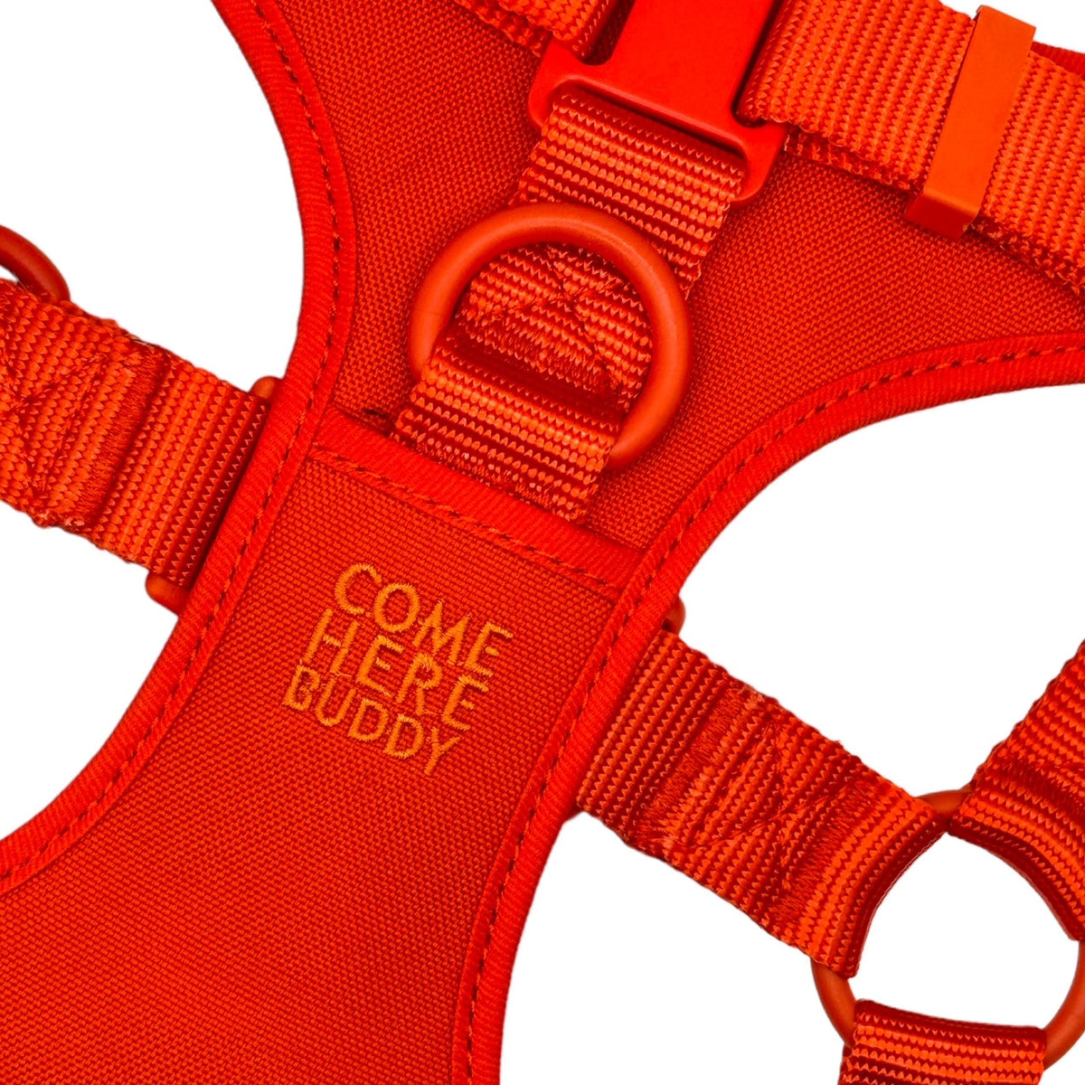 Adjustable Padded Dog Harness for Easy Walking - American Bark Bliss