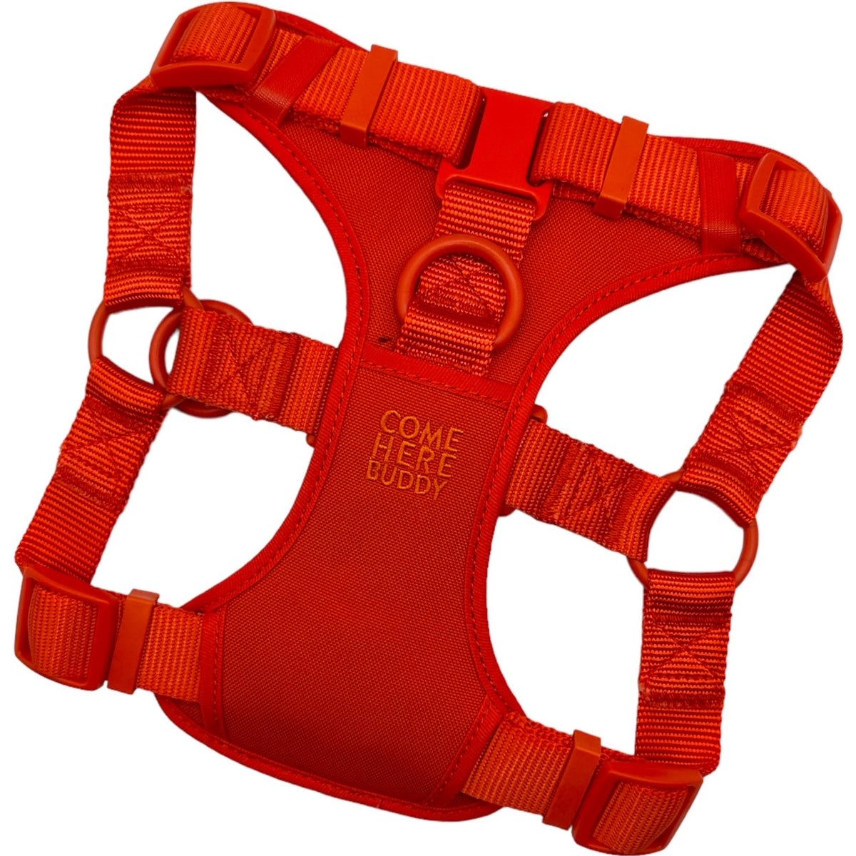 Adjustable Padded Dog Harness for Easy Walking - American Bark Bliss