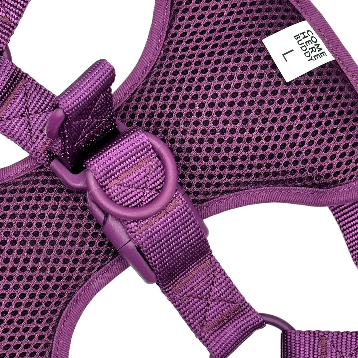 Adjustable Padded Dog Harness for Easy Walking - American Bark Bliss