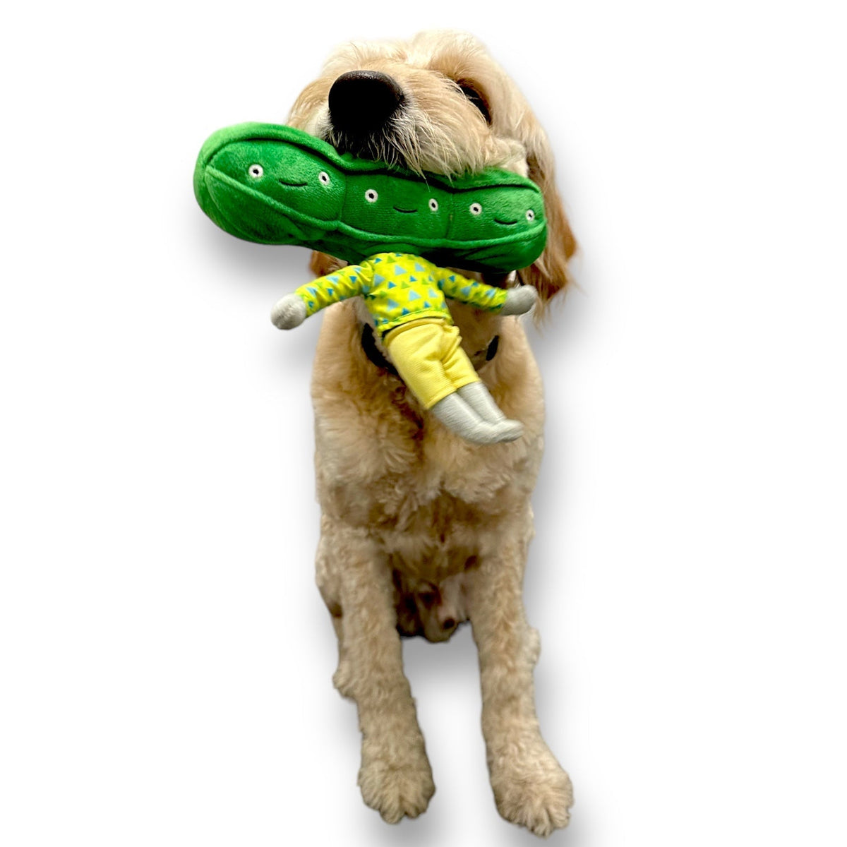 Engaging Pea Nose Work Dog Toy for Interactive Play - American Bark Bliss