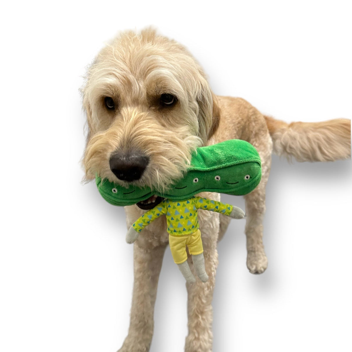 Engaging Pea Nose Work Dog Toy for Interactive Play - American Bark Bliss