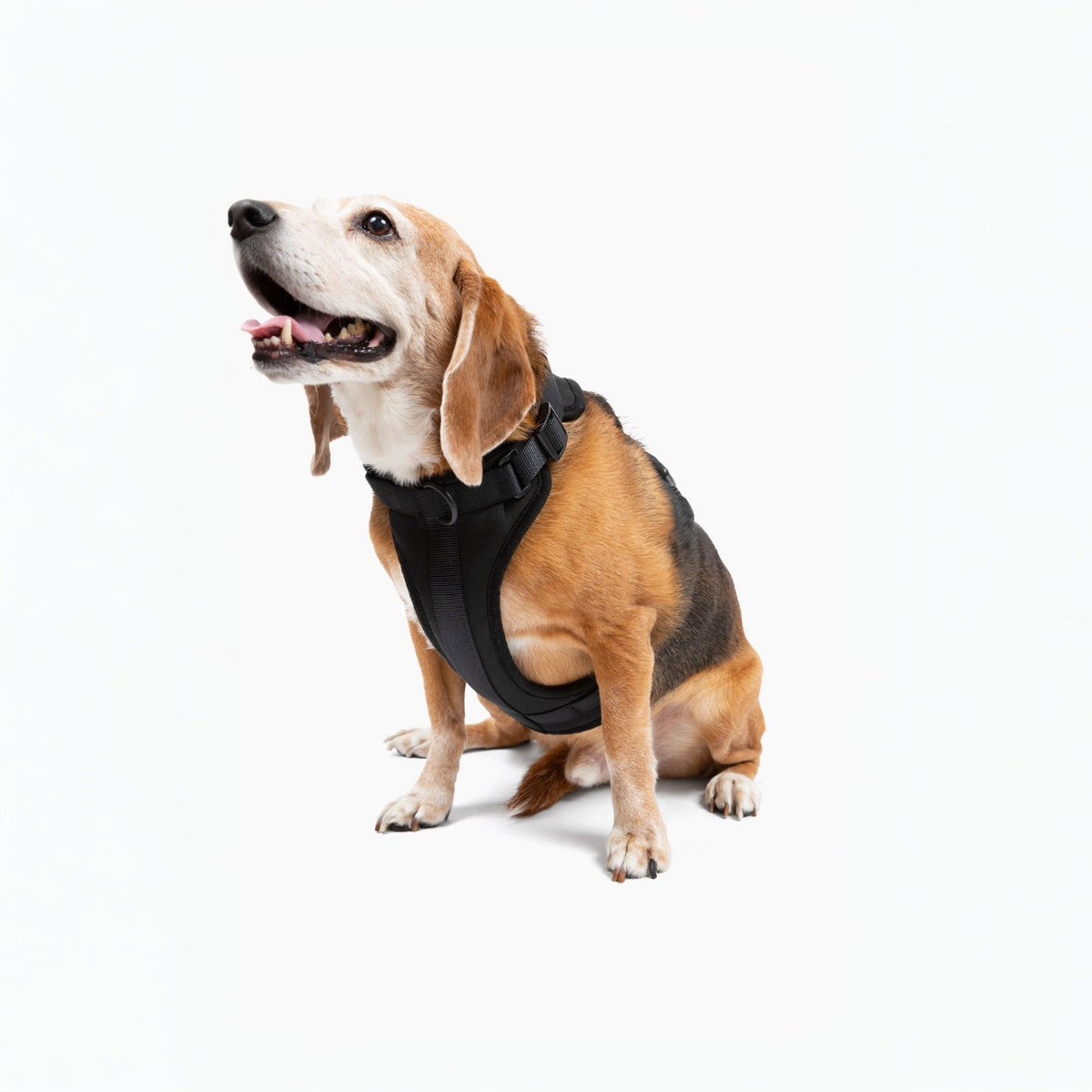 Adjustable Dog Harness for Comfortable Walks - American Bark Bliss