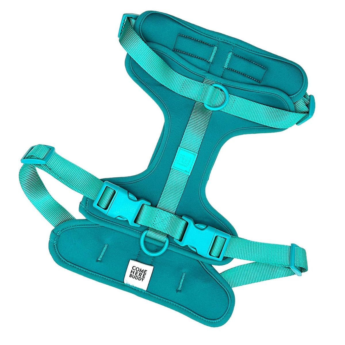 Adjustable Dog Harness for Comfortable Walks by Come Here Buddy