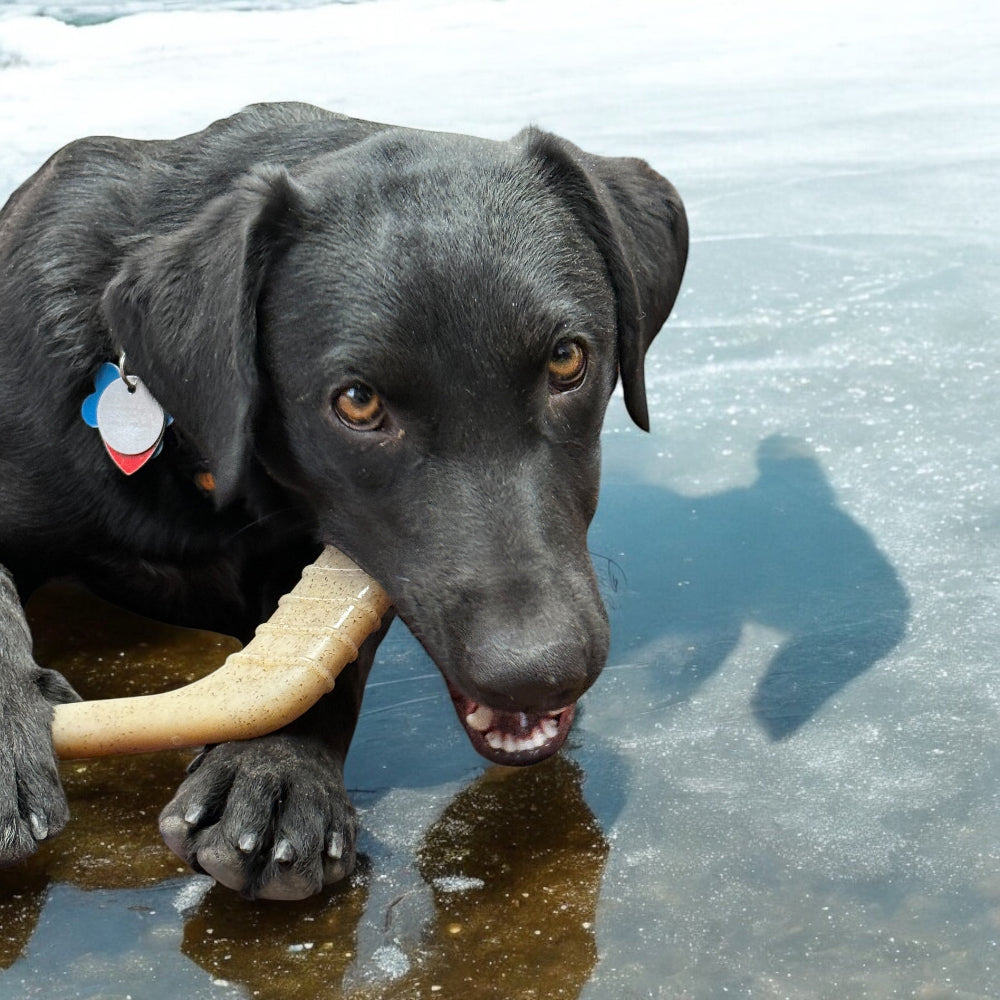 Hockey Stick Nylon Dog Chew Toy - Ultra-Durable for Aggressive Chewers USA by SodaPup/True Dogs, LLC