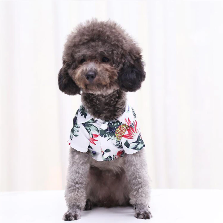 Stylish Hawaiian Dog Shirts for Summer by Furr Baby Gifts