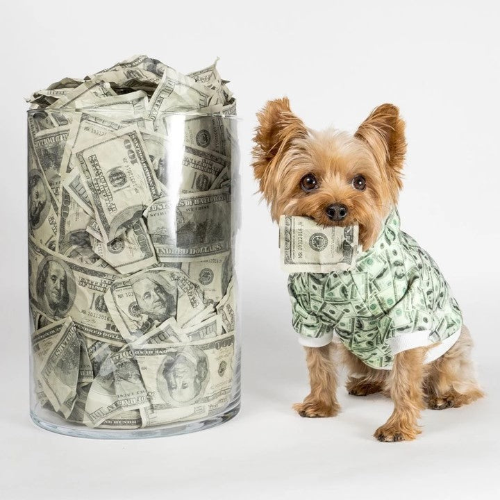 Trendy Money Print Dog Hoodie for Stylish Pets - American Bark Bliss