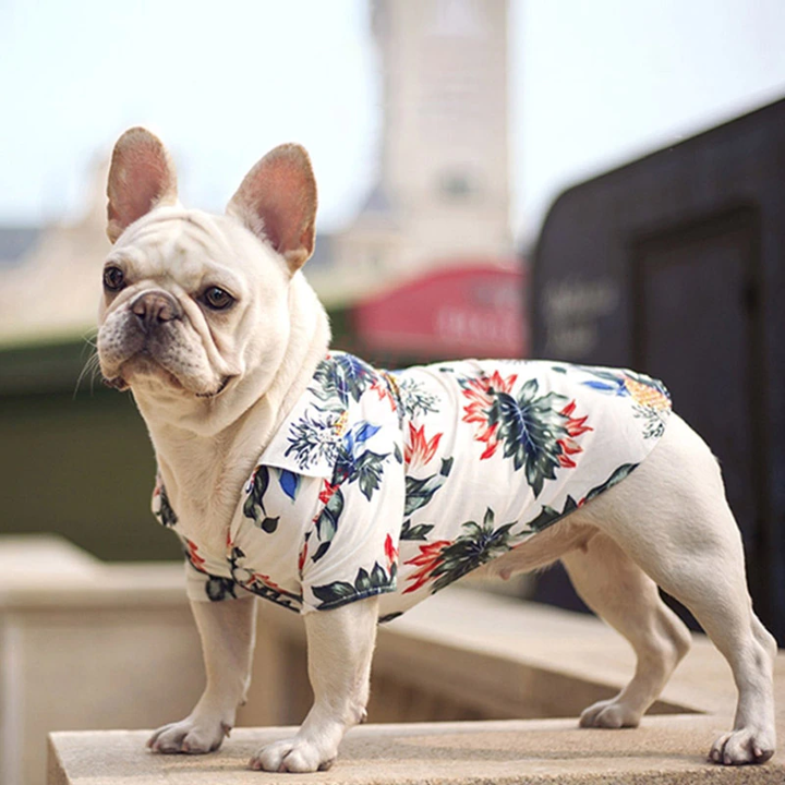 Stylish Hawaiian Dog Shirts for Summer by Furr Baby Gifts