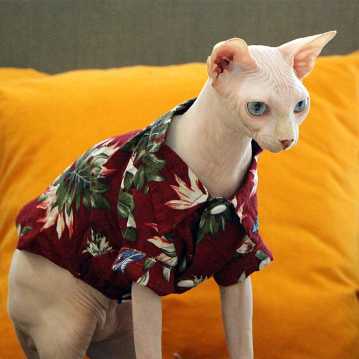 Stylish Hawaiian Dog Shirts for Summer by Furr Baby Gifts