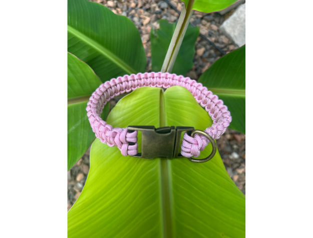 Cobra Braid in Pink & White Stripes - Handmade Dog Collar - American Bark Bliss