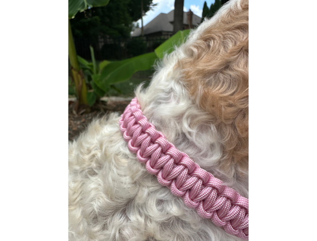 Cobra Braid in Pink & White Stripes - Handmade Dog Collar - American Bark Bliss